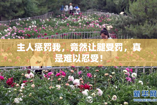 主人惩罚我，竟然让腿受罚，真是难以忍受！