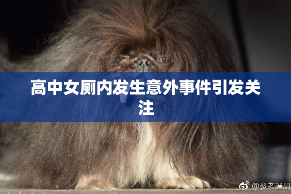 高中女厕内发生意外事件引发关注