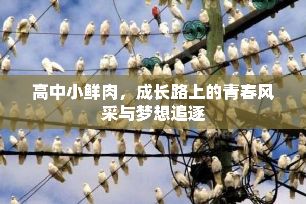 高中小鲜肉，成长路上的青春风采与梦想追逐