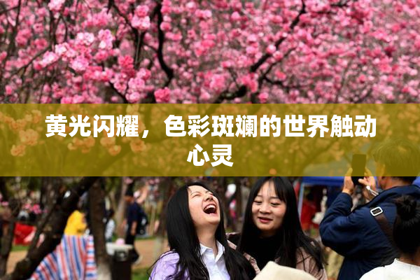 黄光闪耀，色彩斑斓的世界触动心灵