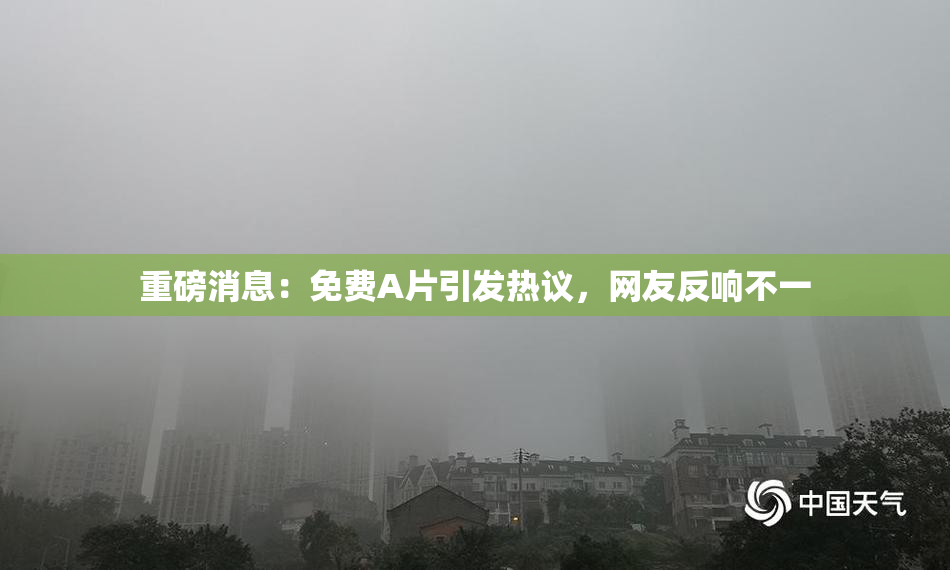重磅消息：免费A片引发热议，网友反响不一