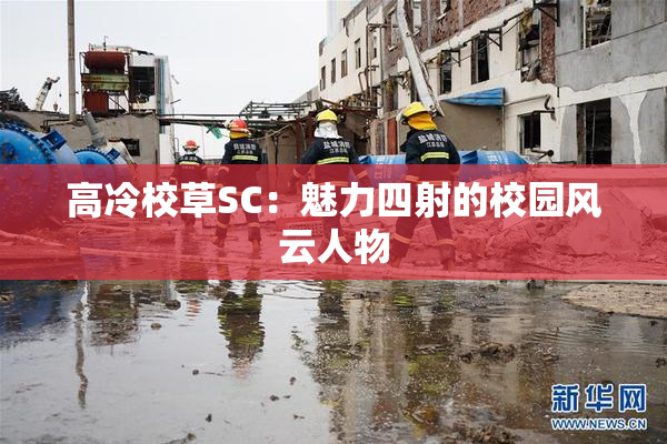 高冷校草SC：魅力四射的校园风云人物