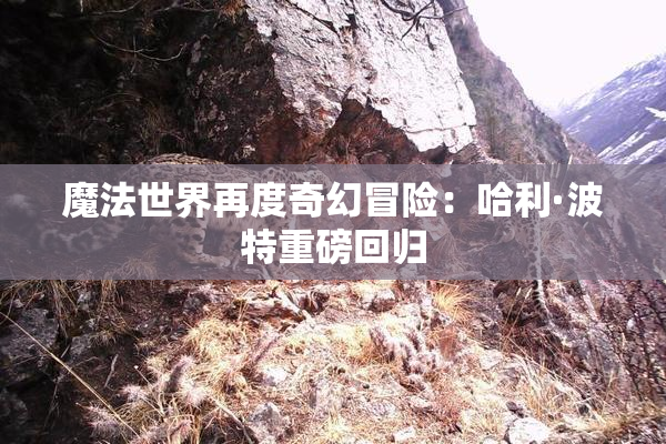 魔法世界再度奇幻冒险：哈利·波特重磅回归
