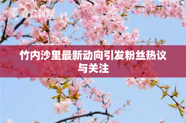竹内沙里最新动向引发粉丝热议与关注