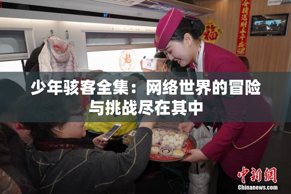 少年骇客全集：网络世界的冒险与挑战尽在其中