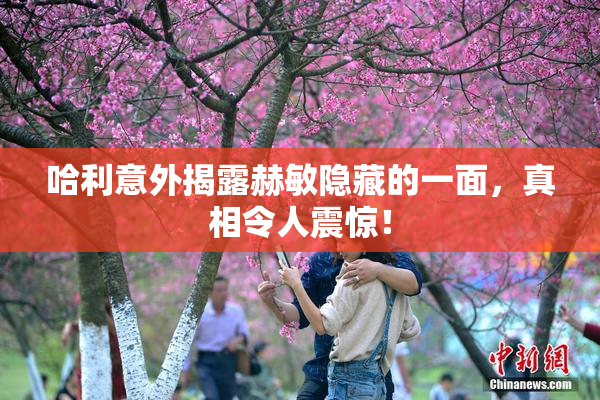 哈利意外揭露赫敏隐藏的一面，真相令人震惊！