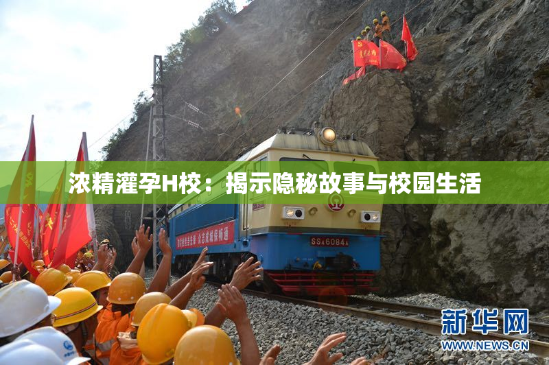 浓精灌孕H校：揭示隐秘故事与校园生活