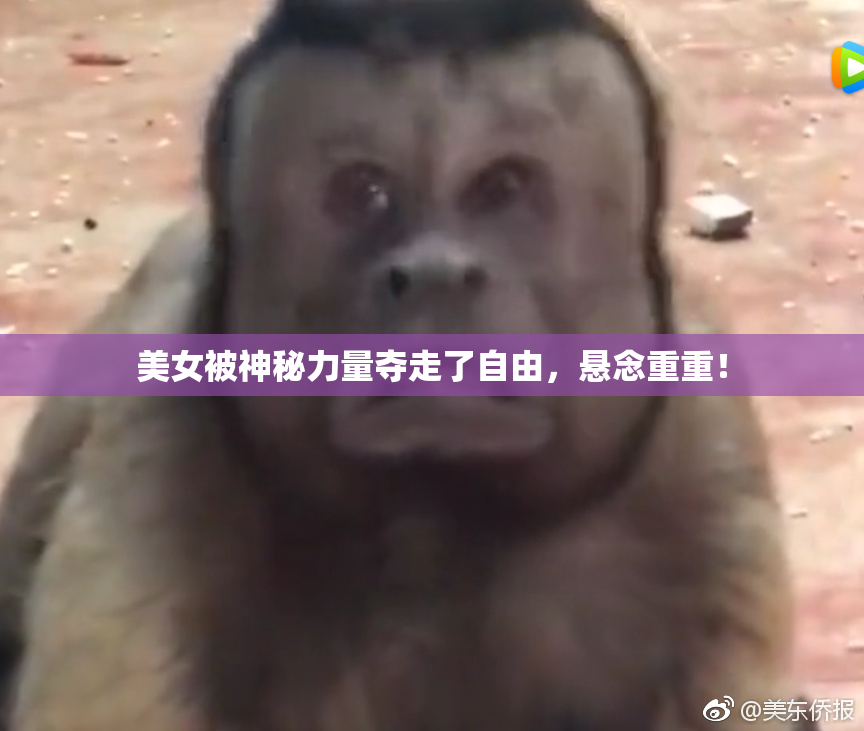美女被神秘力量夺走了自由，悬念重重！