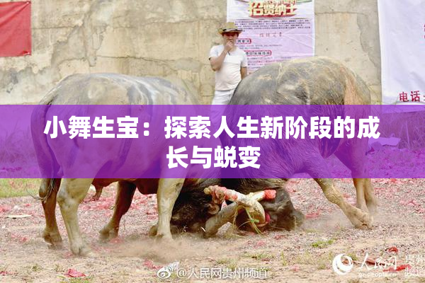 小舞生宝：探索人生新阶段的成长与蜕变