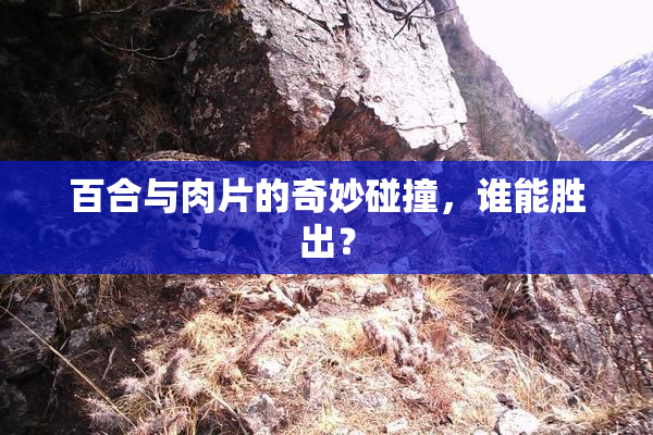 百合与肉片的奇妙碰撞，谁能胜出？