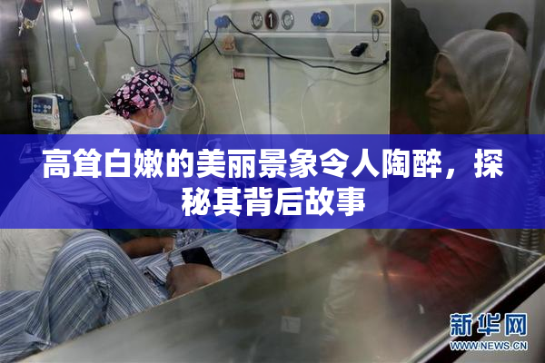 高耸白嫩的美丽景象令人陶醉，探秘其背后故事