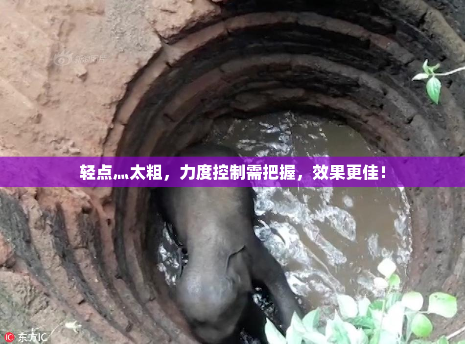 轻点灬太粗，力度控制需把握，效果更佳！
