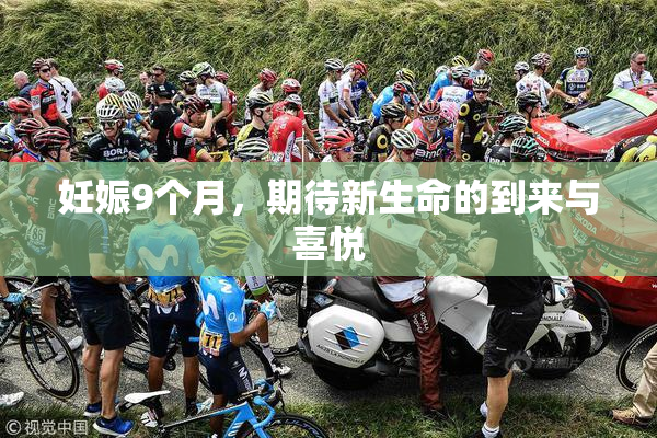 妊娠9个月，期待新生命的到来与喜悦