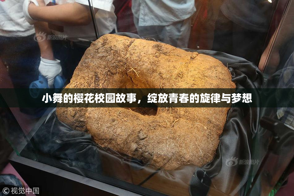 小舞的樱花校园故事，绽放青春的旋律与梦想