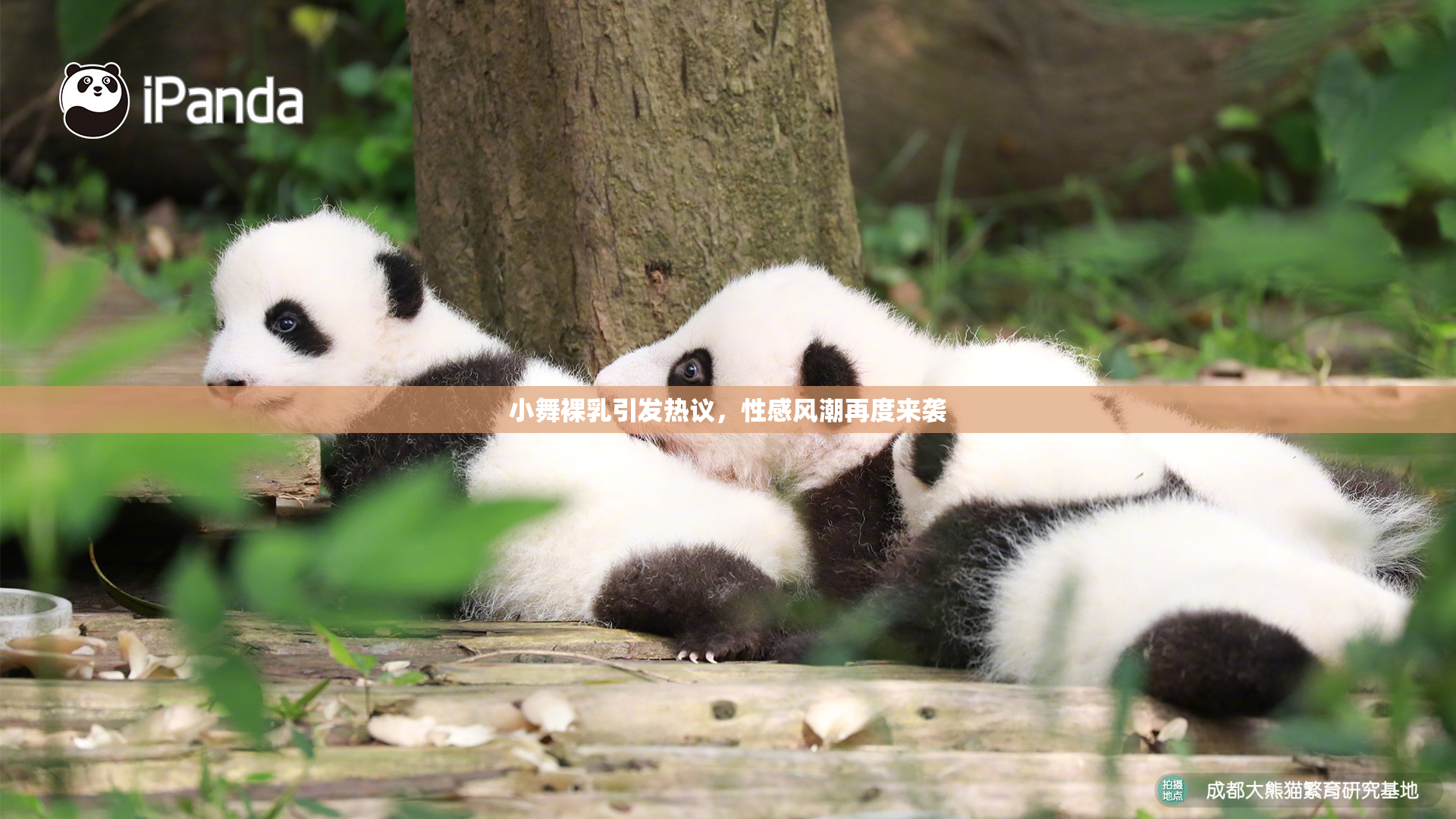 小舞裸乳引发热议，性感风潮再度来袭