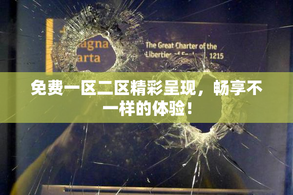 免费一区二区精彩呈现，畅享不一样的体验！