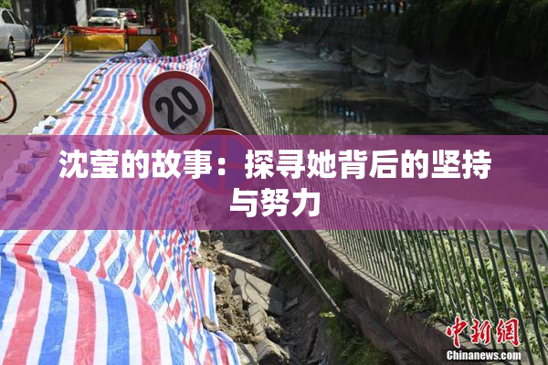 沈莹的故事：探寻她背后的坚持与努力