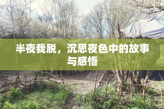 半夜我脱，沉思夜色中的故事与感悟