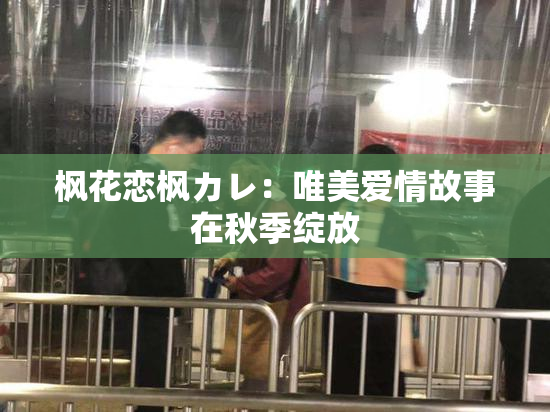 枫花恋枫カレ：唯美爱情故事在秋季绽放