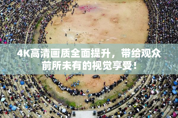 4K高清画质全面提升，带给观众前所未有的视觉享受！
