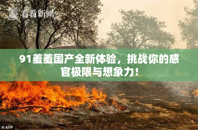 91羞羞国产全新体验，挑战你的感官极限与想象力！