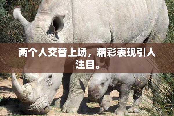 两个人交替上场，精彩表现引人注目。