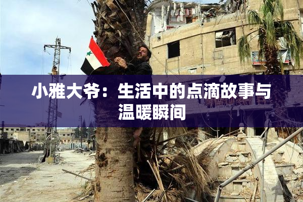 小雅大爷：生活中的点滴故事与温暖瞬间