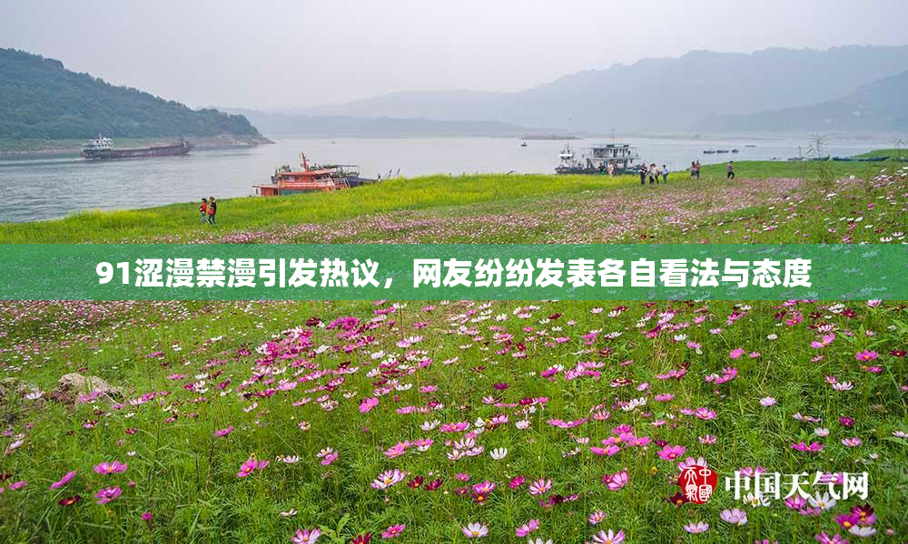 91涩漫禁漫引发热议，网友纷纷发表各自看法与态度