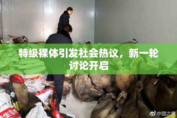 特级裸体引发社会热议，新一轮讨论开启