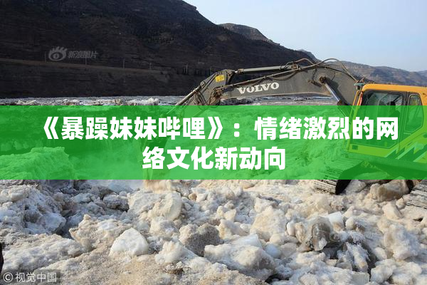 《暴躁妹妹哔哩》：情绪激烈的网络文化新动向