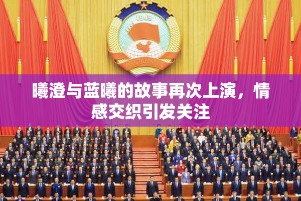 曦澄与蓝曦的故事再次上演，情感交织引发关注
