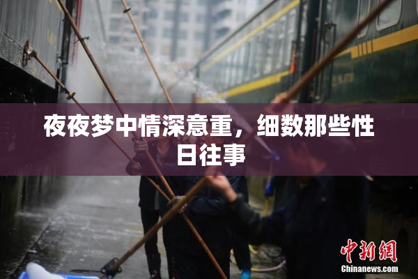 夜夜梦中情深意重，细数那些性日往事