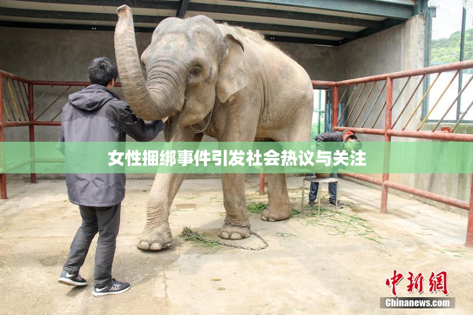 女性捆绑事件引发社会热议与关注