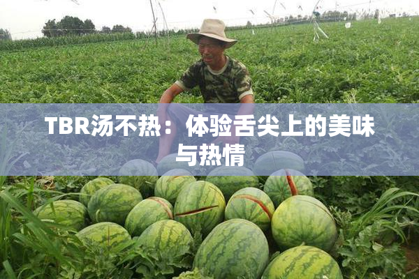 TBR汤不热：体验舌尖上的美味与热情