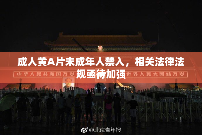 成人黄A片未成年人禁入，相关法律法规亟待加强