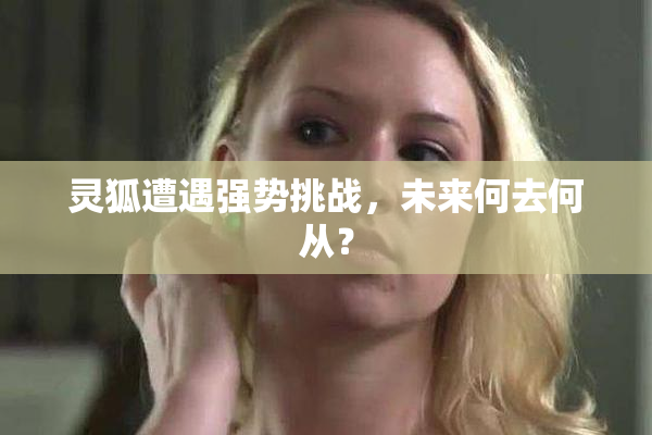 灵狐遭遇强势挑战，未来何去何从？