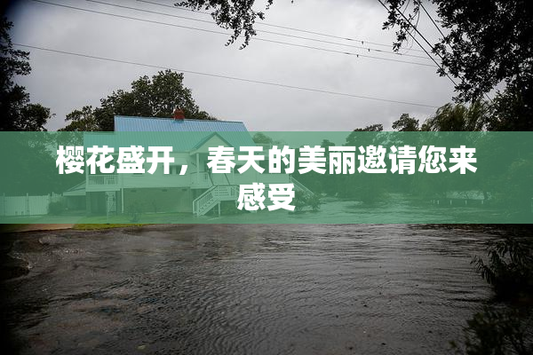 樱花盛开，春天的美丽邀请您来感受