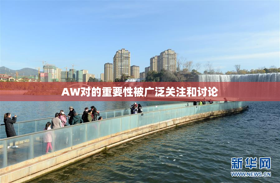 AW对的重要性被广泛关注和讨论