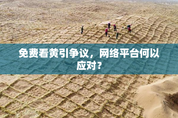 免费看黄引争议，网络平台何以应对？