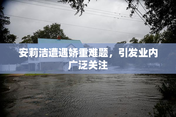 安莉洁遭遇娇重难题，引发业内广泛关注