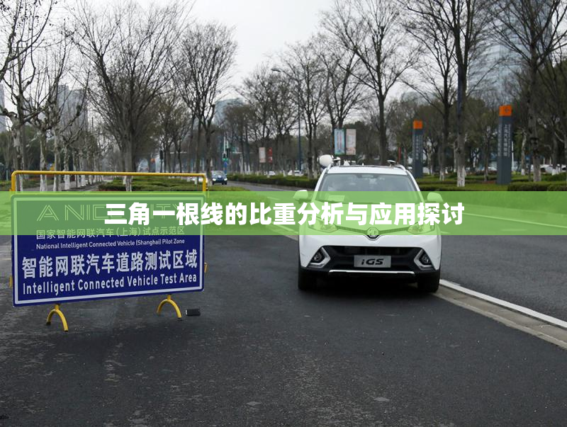三角一根线的比重分析与应用探讨