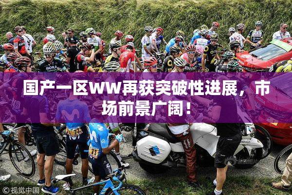 国产一区WW再获突破性进展，市场前景广阔！