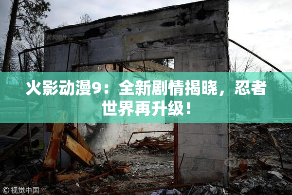 火影动漫9：全新剧情揭晓，忍者世界再升级！