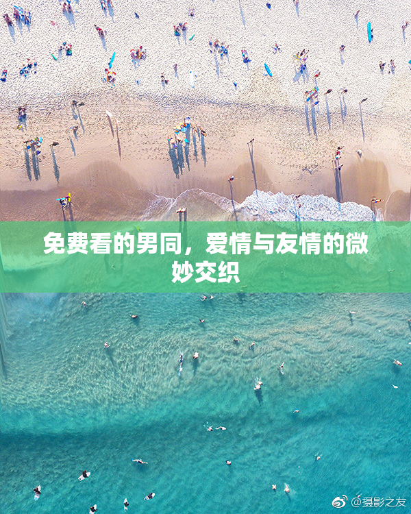 免费看的男同，爱情与友情的微妙交织