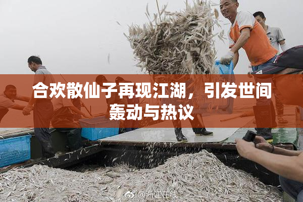 合欢散仙子再现江湖，引发世间轰动与热议