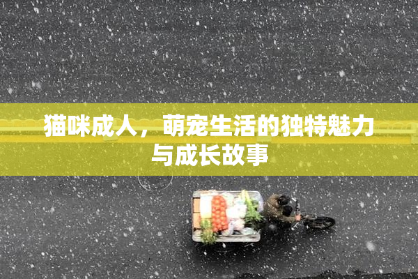 猫咪成人，萌宠生活的独特魅力与成长故事