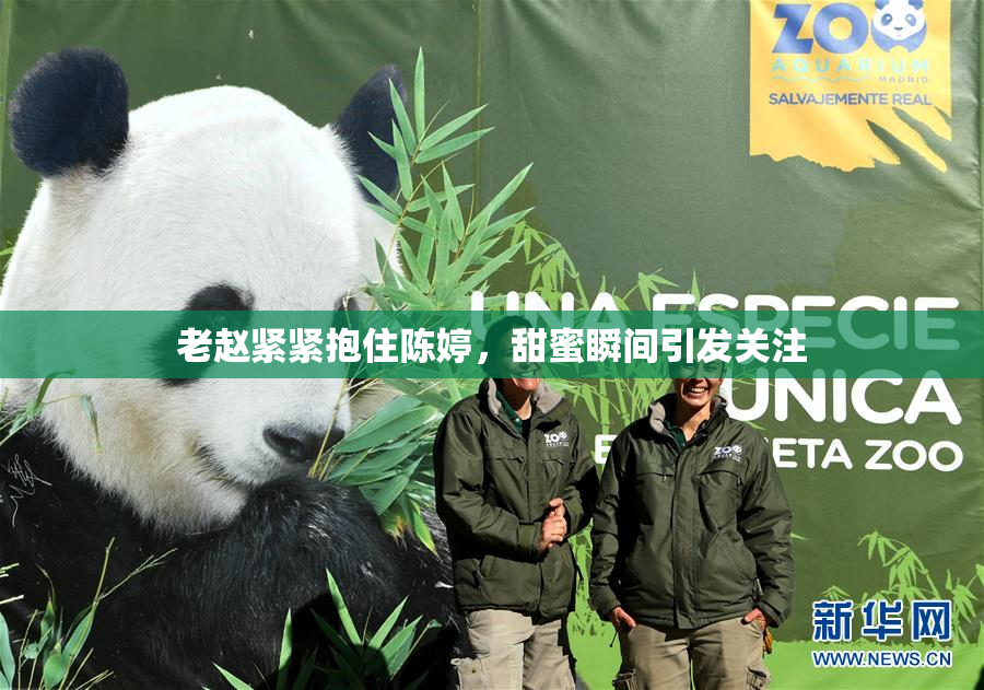 老赵紧紧抱住陈婷，甜蜜瞬间引发关注