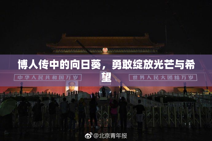 博人传中的向日葵，勇敢绽放光芒与希望