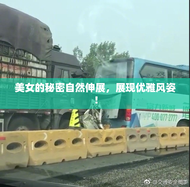 美女的秘密自然伸展，展现优雅风姿！