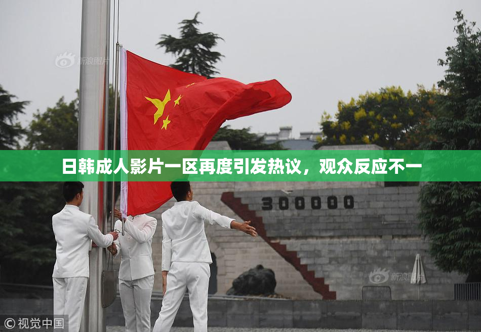 日韩成人影片一区再度引发热议，观众反应不一